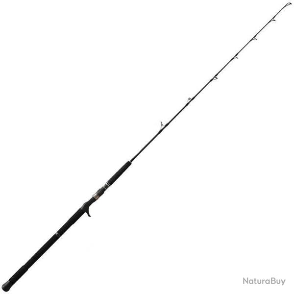 Canne Casting NS Black Hole Boca Jigging 1m60 1 254g 150 - 300g / max 350g