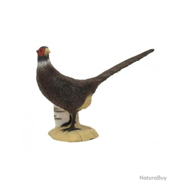 SRT - CIBLE 3D FAISAN DE COLCHIDE NOIR (BLACK PHEASANT)