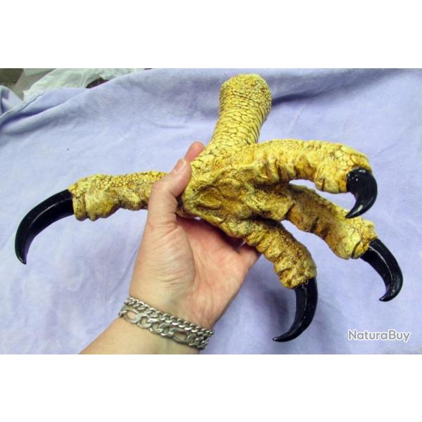 taxidermie trophe factice patte de harpie froce taille relle