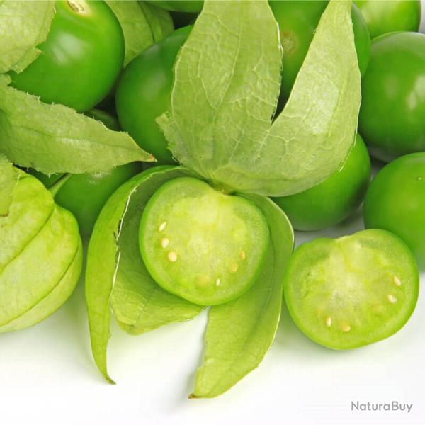 100 Graines de Tomatillo Verte- Physalis tomate jardin - semences paysannes reproductibles - SemiSau