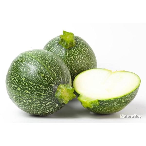 25 Graines de Courgette ronde - l�gumes ancien potager -- semences paysannes reproductibles - SemiSa
