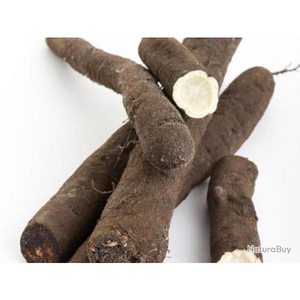12 Graines de Salsifis �norme - l�gumes ancien potager- semences paysannes reproductibles - SemiSauv