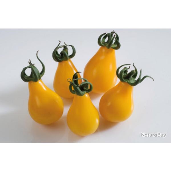 35 Graines de Tomate Cerise Poire Jaune - l�gume jardin potager - semences paysannes reproductibles 