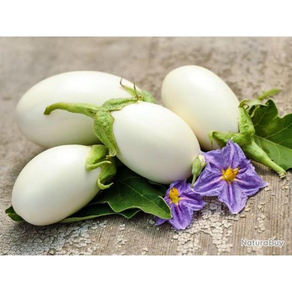 60 Graines d'Aubergine White egg - l�gume jardin potager terrasse - semences paysannes reproductible