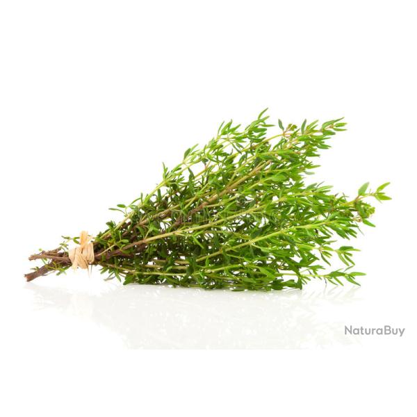 300 Graines de Thym - plante aromatique m�dicinale- semences paysannes reproductibles - SemiSauvage