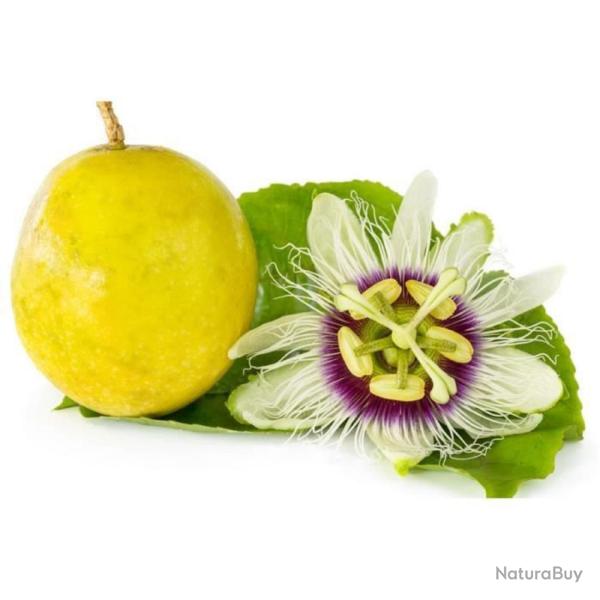 15 Graines de Grenadille - jardins fleurs fruits - semences paysannes reproductibles - SemiSauvage