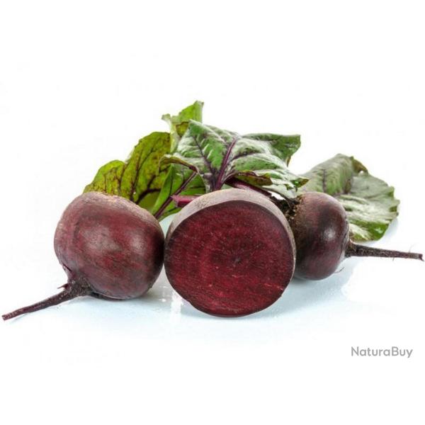 100 Graines de Betterave Rouge - l�gumes jardin potager - semences paysannes reproductibles - SemiSa