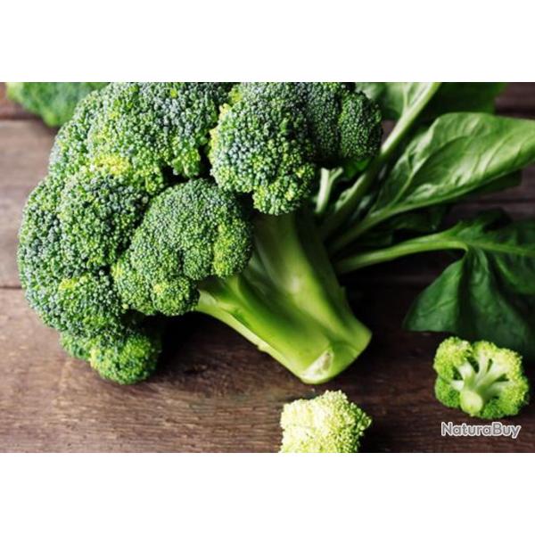 500 Graines de Brocolis Verts Calabrais - jardins potager l�gumes - semences paysannes reproductible