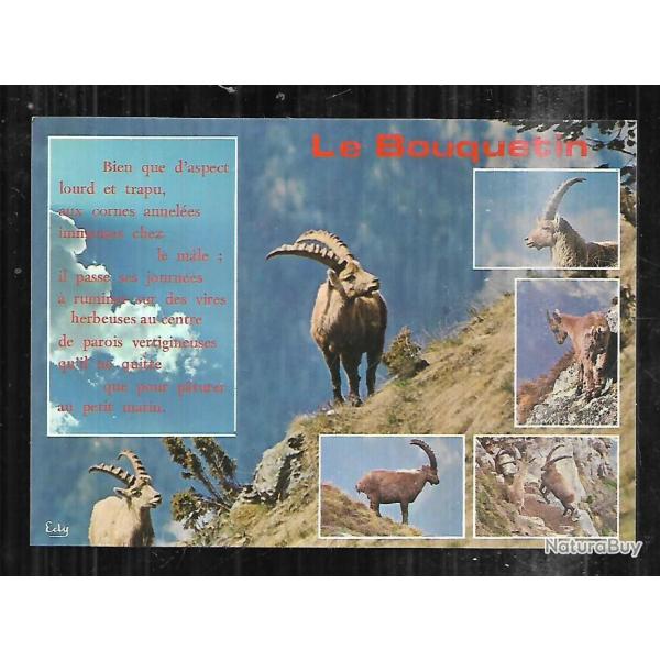 le bouquetin  multivues  cpm