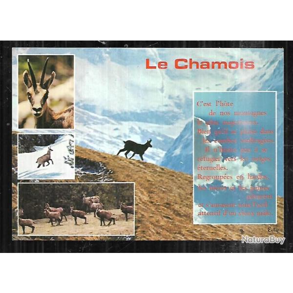 le chamois multivue cpm