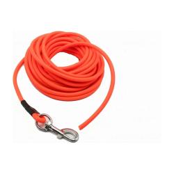 Longe de 10 metres pour faire le pied (les traces) a la chasse au sanglier