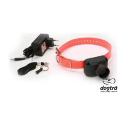 DOGTRA BEEPER STB HAWK - H
