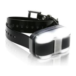 Collier de dressage supp pour 4500 EDGE DOGTRA BLEU