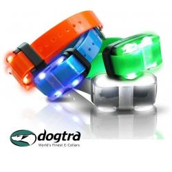 Collier de dressage supp pour 4500 EDGE DOGTRA ORANGE