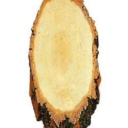 Ecusson en bouleau pour chevreuils