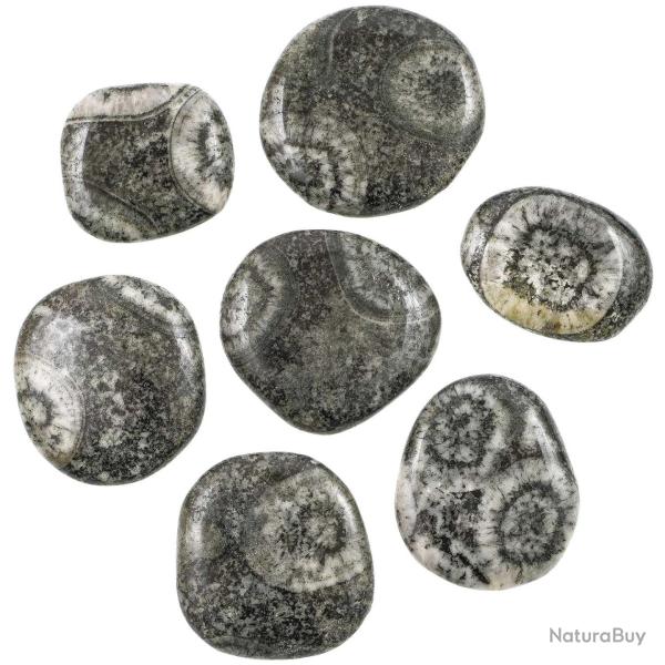 Galet plat diorite orbiculaire - A l'unit�