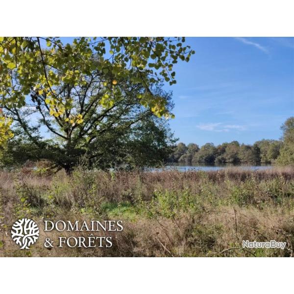 Proprit de Chasse & d'Agrment 13 hectares DF-551-A