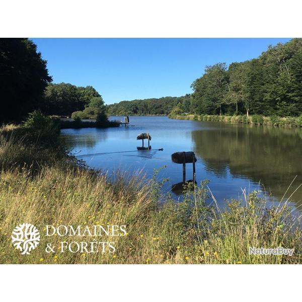 Propri�t� de chasse 80 Ha DF-606-A