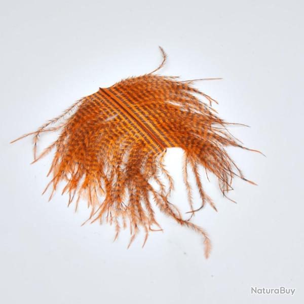 Plume d'Autruche Zebree De Charette ORANGE