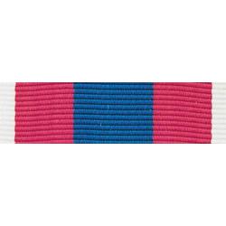 Barrette Dixmude Défense Nationale Argent