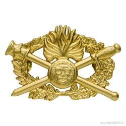 Insigne Dipl&ocirc;me d'Arme Gendarmerie Or