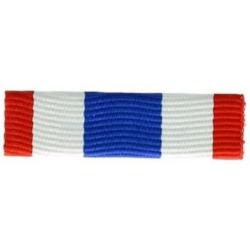 Barrette Dixmude - Protection Militaire du Territoire