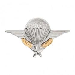 Pin's Brevet Para