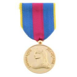 M&eacute;daille R&eacute;serviste Volontaire de la D&eacute;fense Or