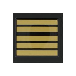 Grade / Galon de poitrine Gendarmerie Mobile Colonel R&eacute;sine