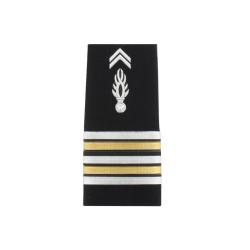 Fourreaux Gendarmerie D&eacute;partementale (vendu &agrave; la paire) Lieutenant Colonel Rigide