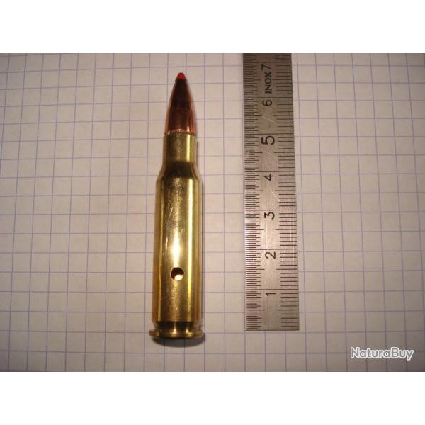 une cartouche  308 marlin express,ogive ftx pointe plastique, neutralis�e, perc�e, percut�e