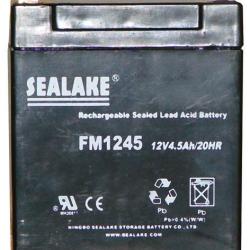 Batterie 12 V rechargeable