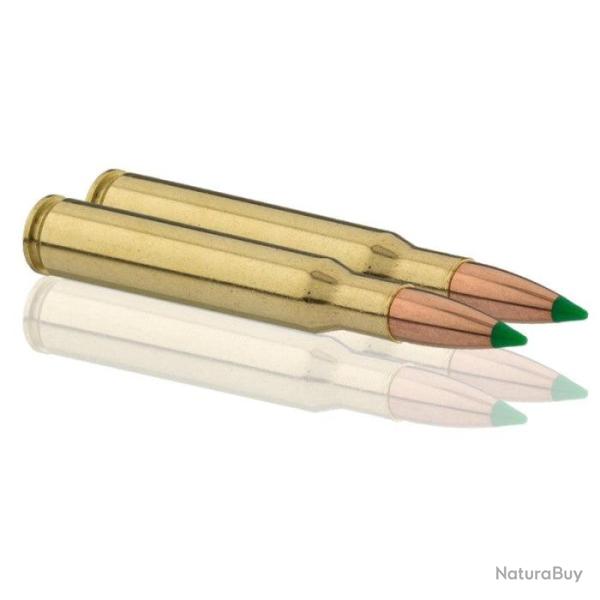 Balles Sologne Nosler Ballistic Tip - Cal. 30-06 Sprg Sub - Par 1