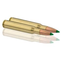 Balles Sologne Nosler Ballistic Tip - Cal. 30-06 Sprg Sub - Par 3