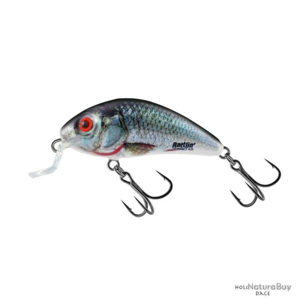 Poisson Nageur Salmo Rattlin Hornet Shallow 3,5cm HRD- Holographic Real Dace