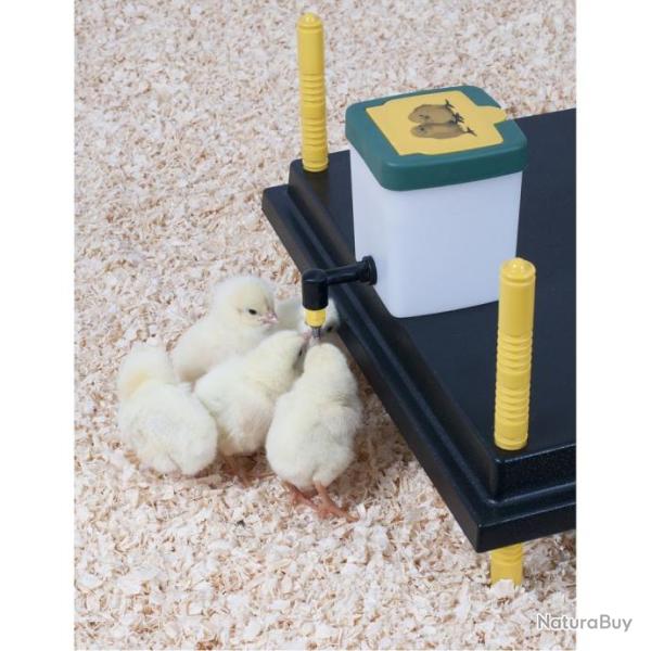 Abreuvoir pipette poussins 0,5 litres