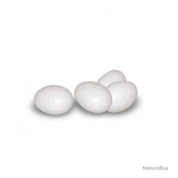 Oeufs de pigeon plastique