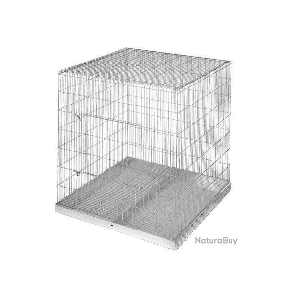 Cage exposition perroquets