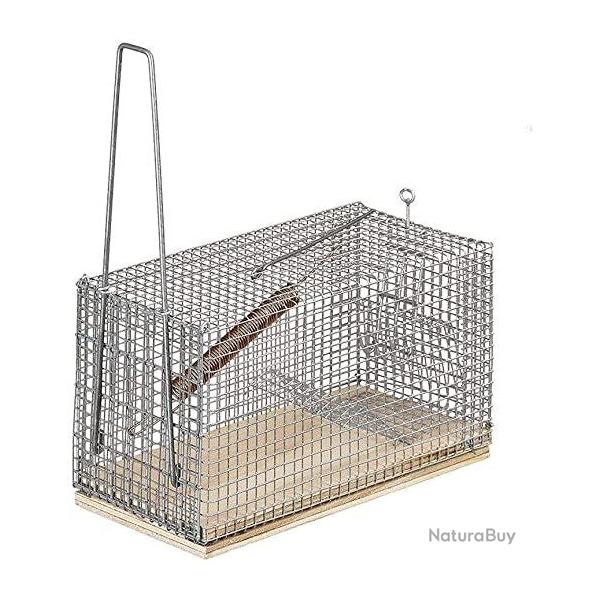 Cage pi�ge � rats moyenne