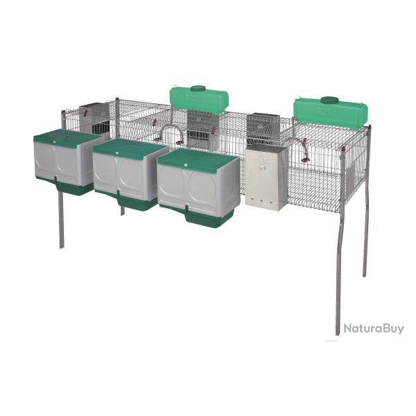 Cage pour lapins GAMMA 8