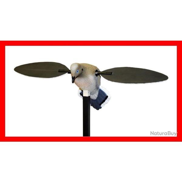 APPELANT TOURTERELLE A AILE TOURNANTE MOJO