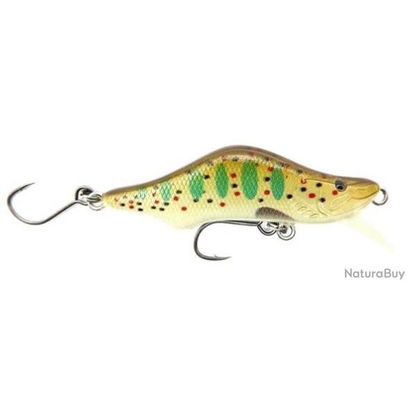 SICO FIRST 53 COULANT Truite