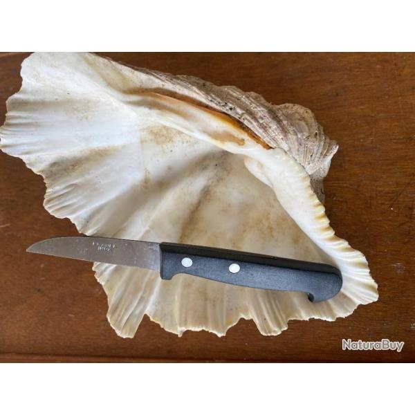 COUTEAU  BEC D OISEAU  2023     8