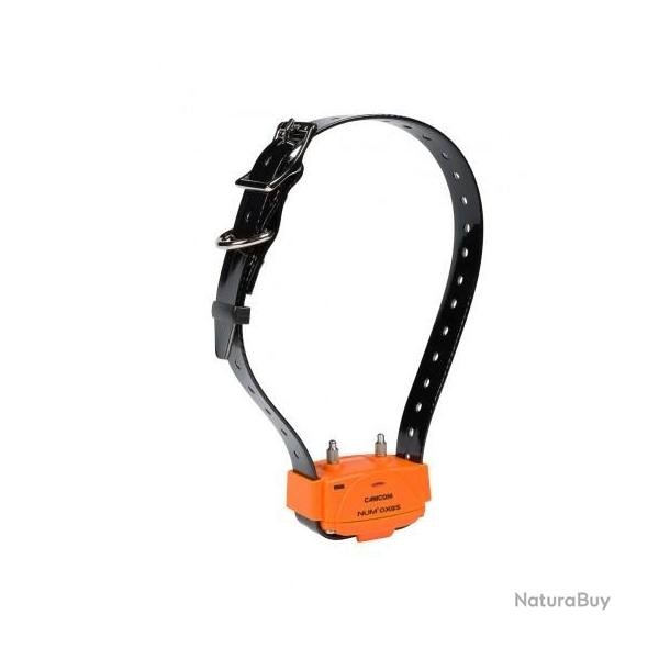 NUM59 COLLIER DE DRESSAGE NUM AXES CANICOM 1000 NEUF
