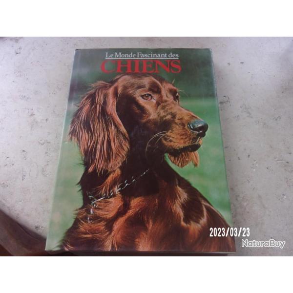 Le monde fascinant des chiens GRUND