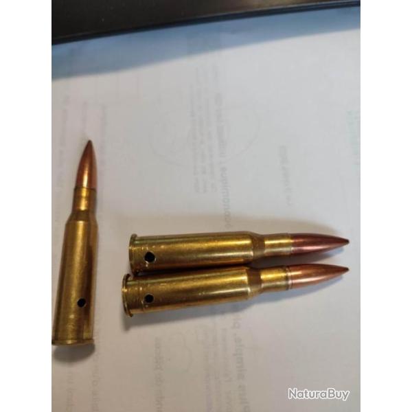Vends Cartouches Mosin Nagan 7.62 X 54 R  neutraliser pour manipulation ou colection CAT D
