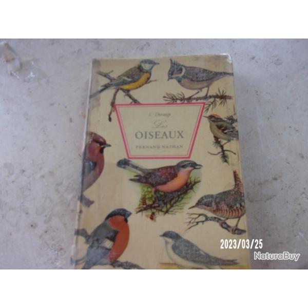 LES OISEAUX