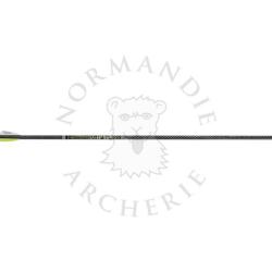 VICTORY - Tube Carbone V-TAC 23 ELITE V1 .314 (x12) 380