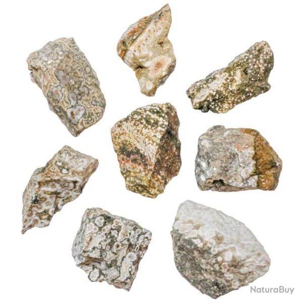 Pierres brutes jaspe orbiculaire - 3 � 6 cm - 300 grammes