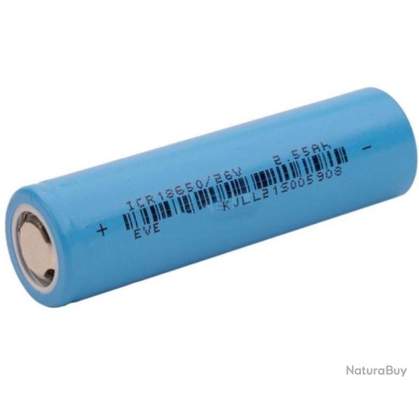 Pile Rechargeable 18650